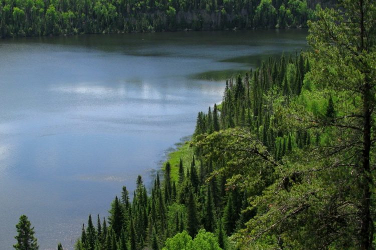 Newpath Resources: Potenzial auf Batteriemetalle über Lithium hinaus