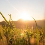 Anleihen-Woche #KW37 – 2023: Katjes International, Stern Immobilien, VEDES, Bonds Monthly Income, PREOS, Karlsberg Brauerei, Deutsche Rohstoff, PNE, B4H