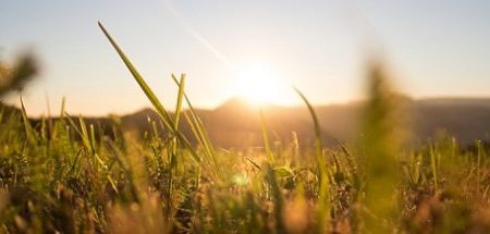 Anleihen-Woche #KW37 – 2023: Katjes International, Stern Immobilien, VEDES, Bonds Monthly Income, PREOS, Karlsberg Brauerei, Deutsche Rohstoff, PNE, B4H