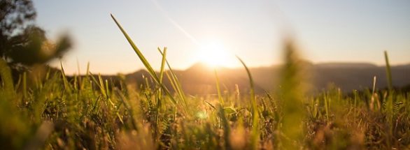 Anleihen-Woche #KW37 – 2023: Katjes International, Stern Immobilien, VEDES, Bonds Monthly Income, PREOS, Karlsberg Brauerei, Deutsche Rohstoff, PNE, B4H